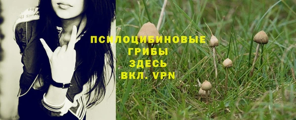 молекула духа Сатка