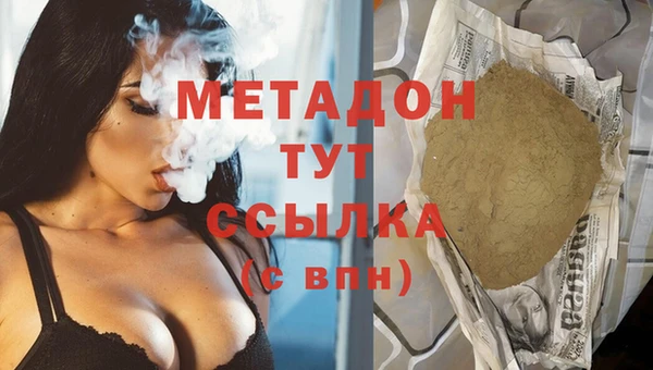 прущие грибы Балабаново