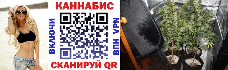 Конопля ГИДРОПОН Белая Холуница